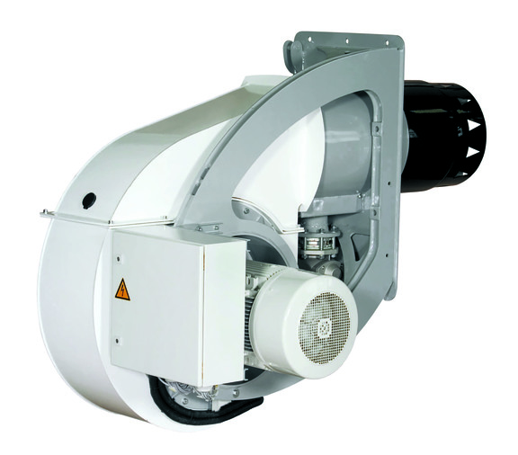 E_10(2).jpg